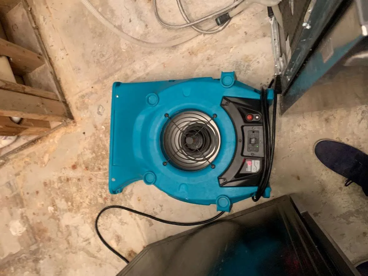 Air mover drying equipment for Mold Remediation & Removal in Rochelle